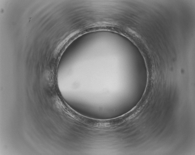 X0000052981313200507221317