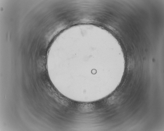 X0000052981314200507221317