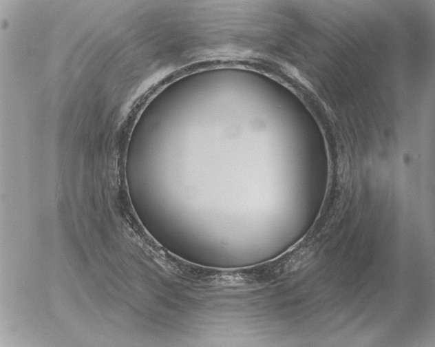 X0000052981315200507221317