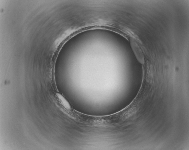 X0000052981316200507221317