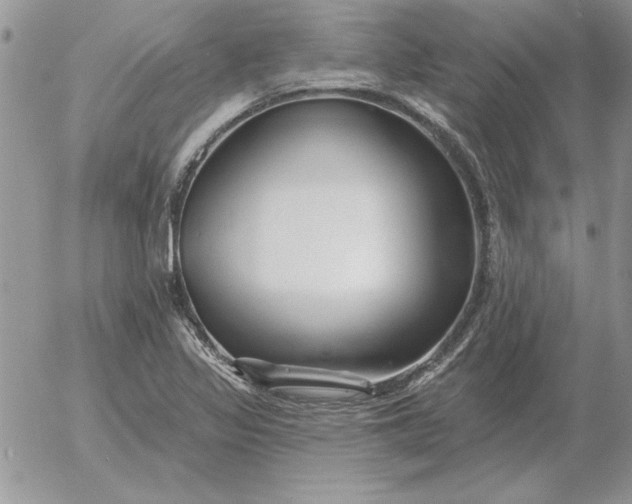 X0000052981317200507221317