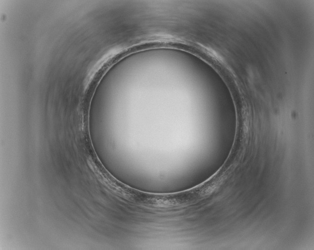 X0000052981318200507221317