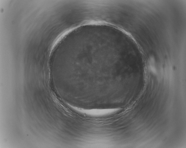 X0000052981319200507221317