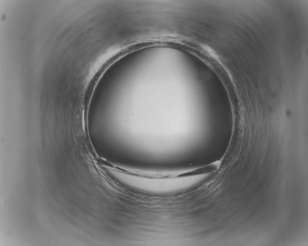 X0000052981320200507221318