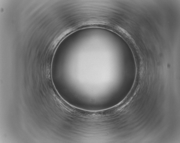 X0000052981321200507221318