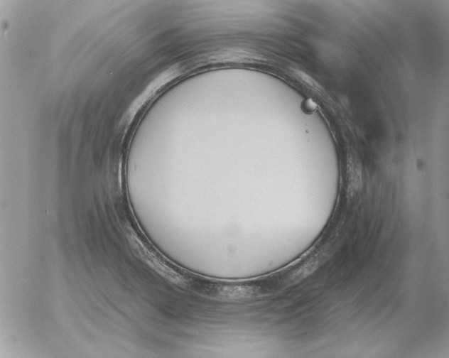 X0000052981322200507221318