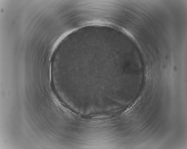 X0000052981323200507221318