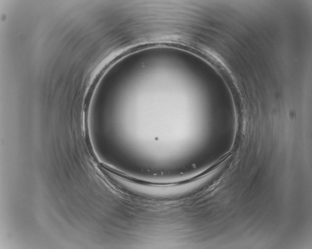 X0000052981324200507221318