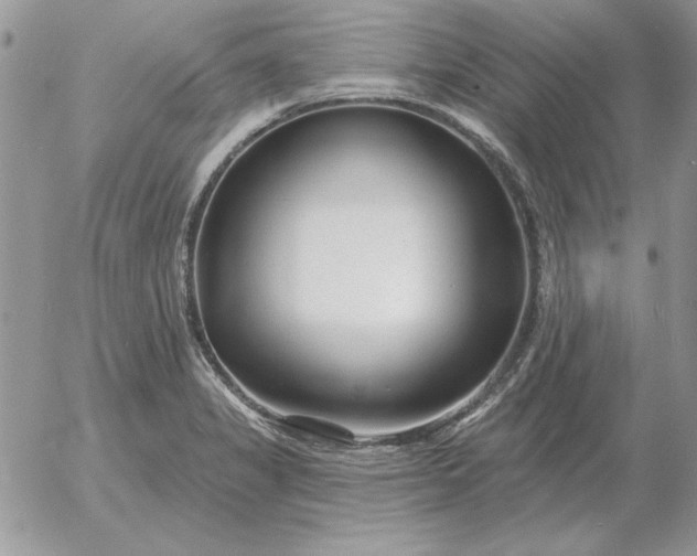 X0000052981325200507221318