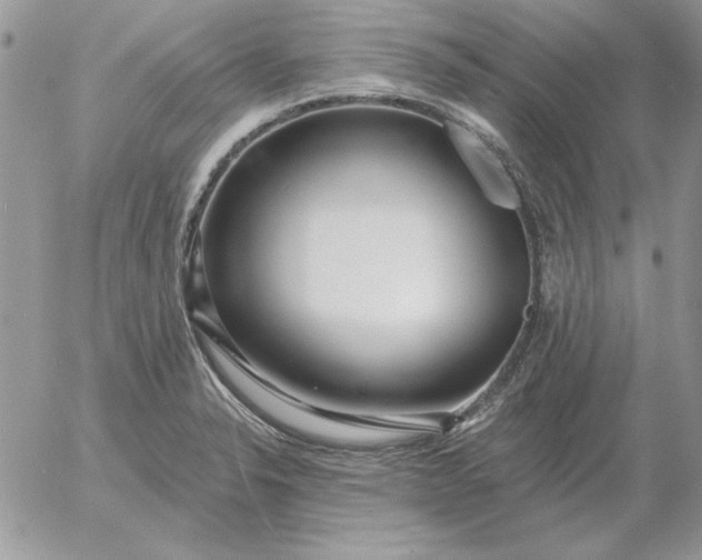 X0000052981326200507221318