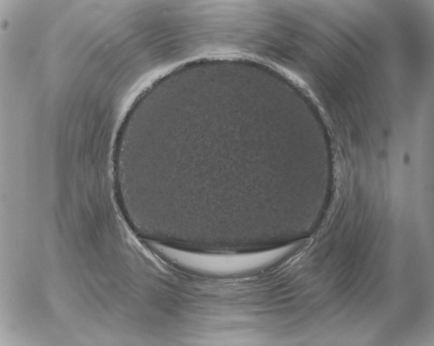 X0000052981327200507221318