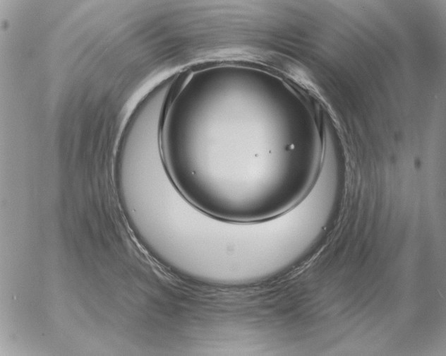 X0000052981328200507221318