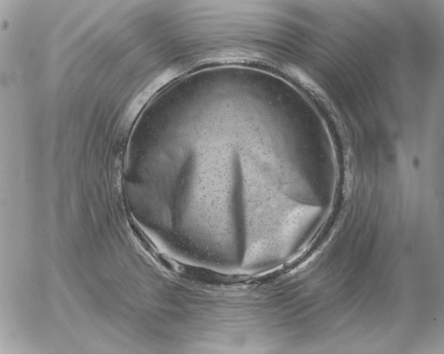 X0000052981329200507221318