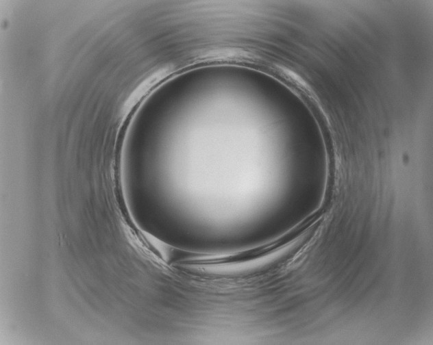 X0000052981330200507221318