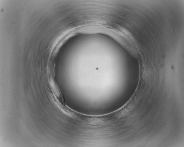 X0000052981332200507221318