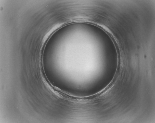 X0000052981333200507221318