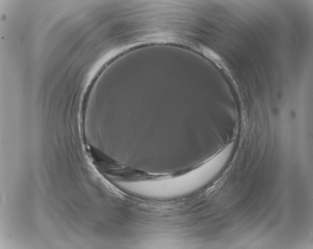 X0000052981334200507221318