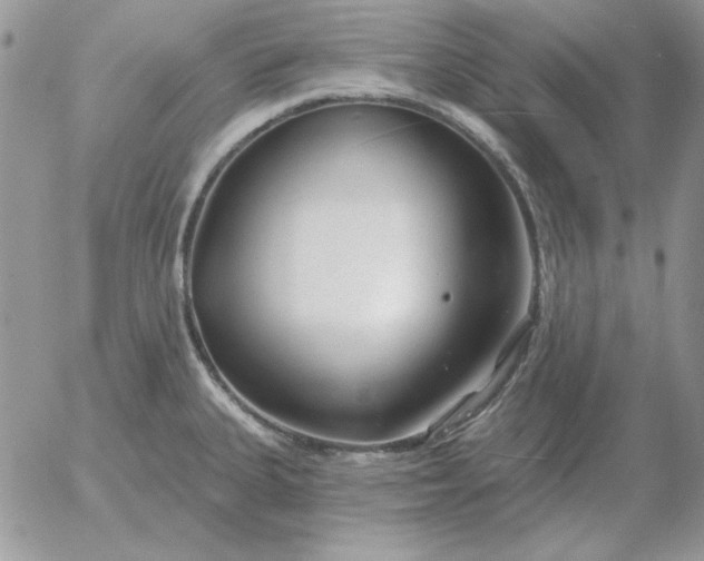 X0000052981335200507221318