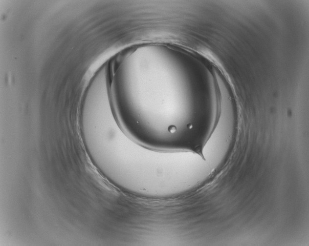 X0000052981336200507221318