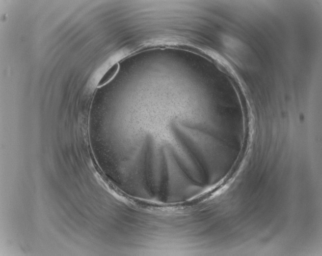 X0000052981337200507221318