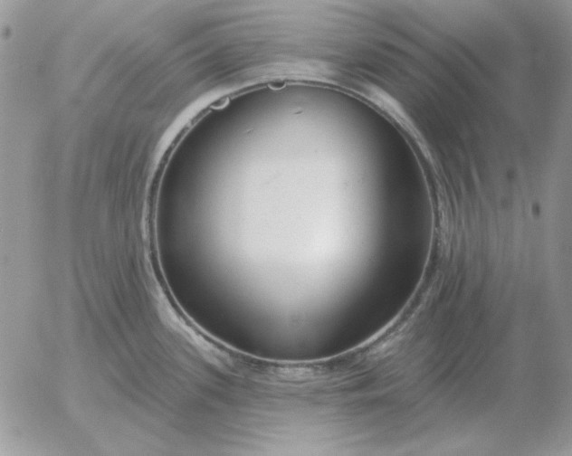 X0000052981339200507221318