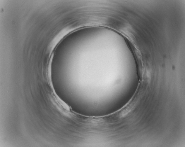 X0000052981340200507221318