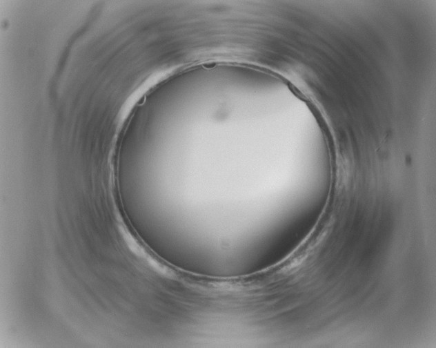 X0000052981341200507221318