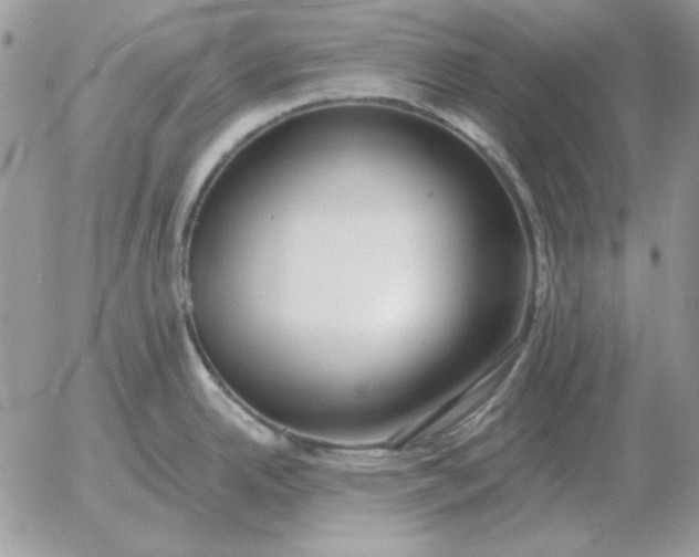 X0000052981342200507221318