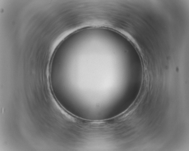 X0000052981343200507221318