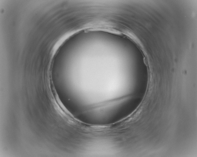 X0000052981344200507221318