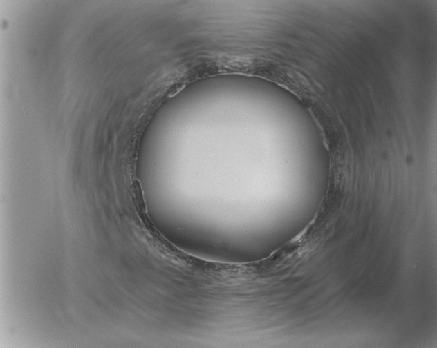 X0000052981345200507221317