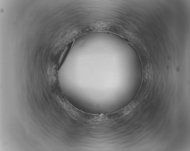 X0000052981346200507221317