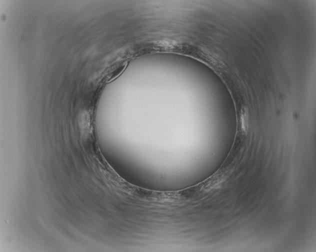 X0000052981347200507221317