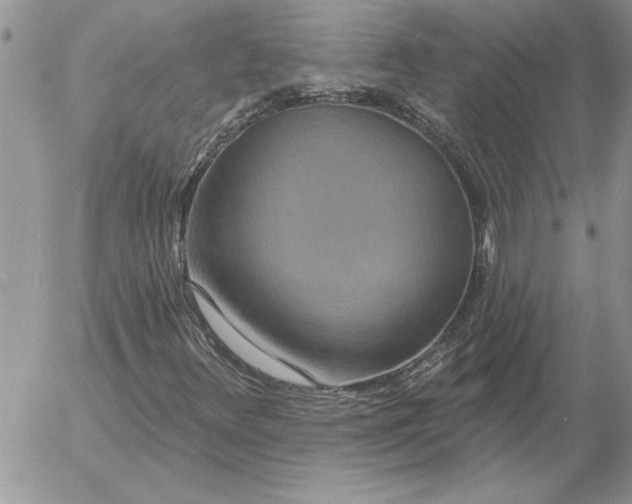 X0000052981348200507221317