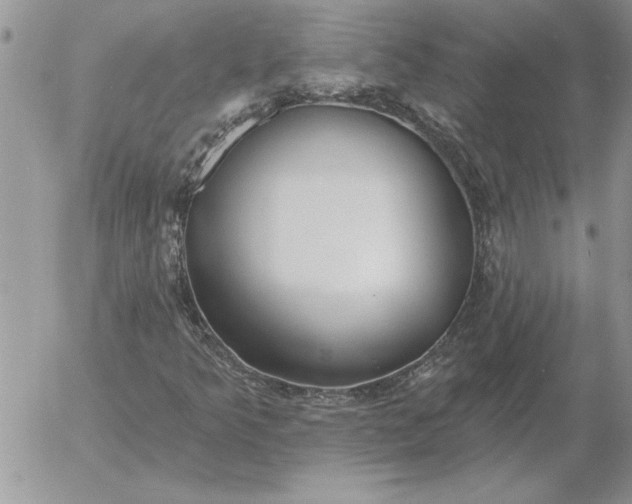 X0000052981349200507221317