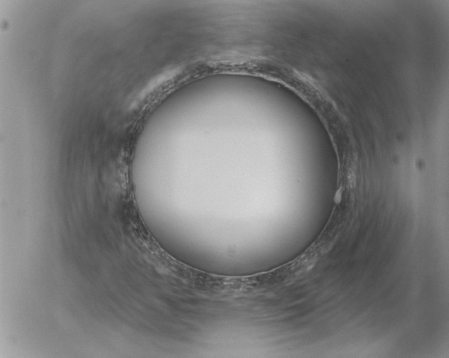 X0000052981350200507221317