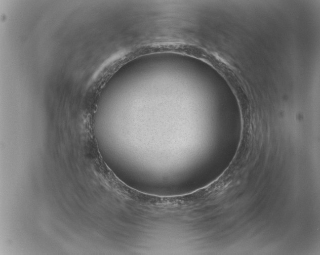 X0000052981351200507221317