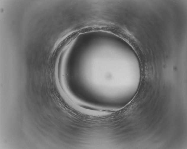 X0000052981352200507221317