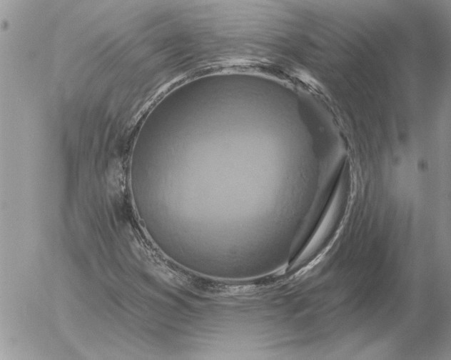 X0000052981353200507221317