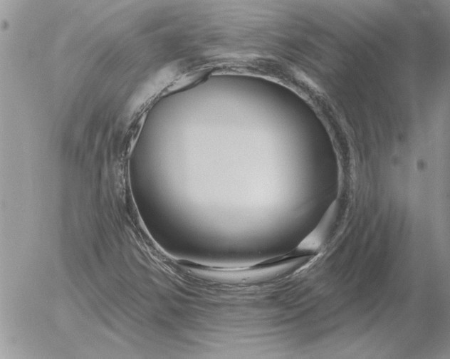 X0000052981354200507221317