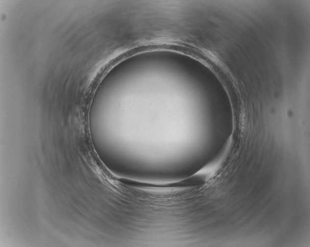 X0000052981356200507221317