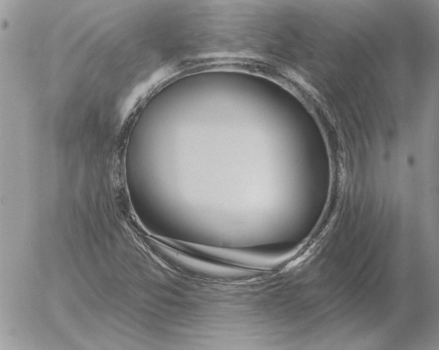 X0000052981357200507221317