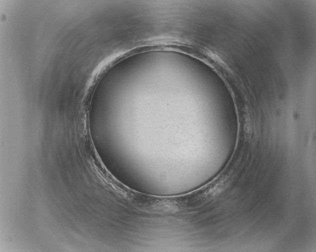 X0000052981358200507221317