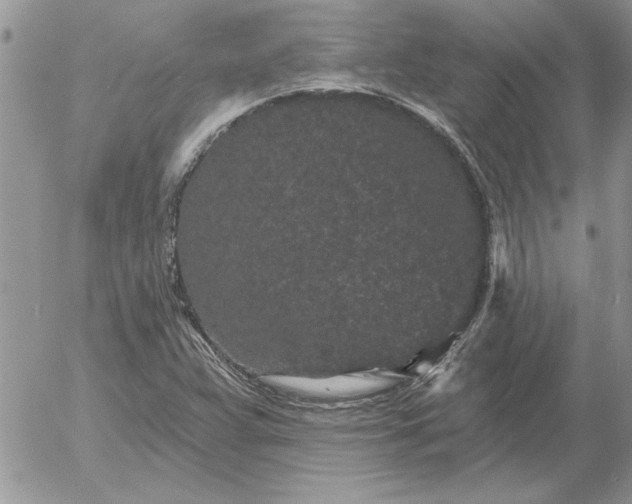 X0000052981359200507221317