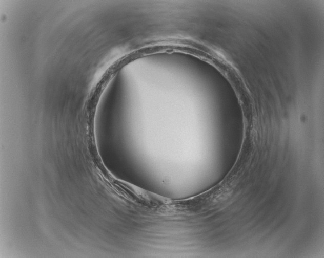 X0000052981360200507221317