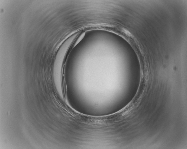 X0000052981361200507221317