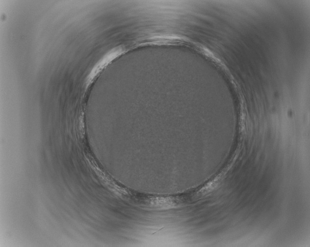 X0000052981362200507221317