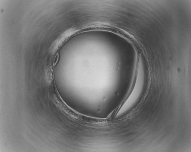 X0000052981363200507221317