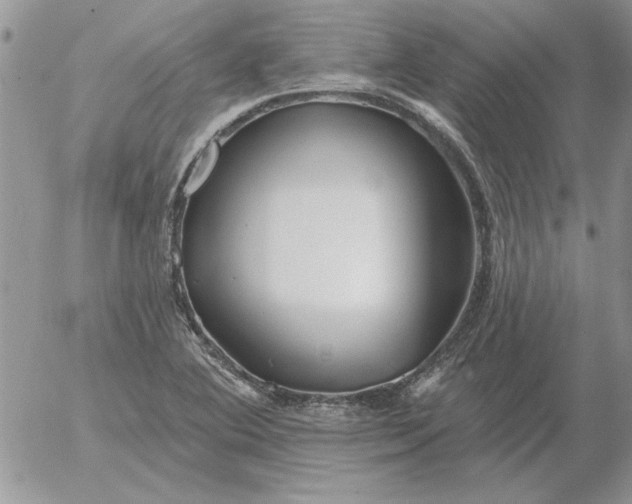 X0000052981364200507221317