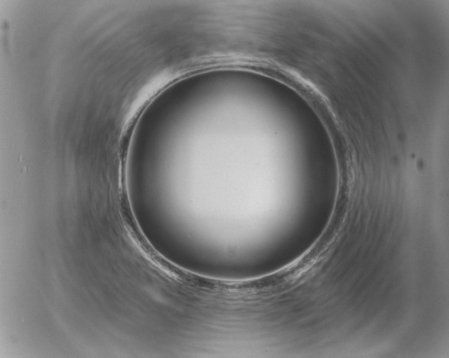 X0000052981365200507221317